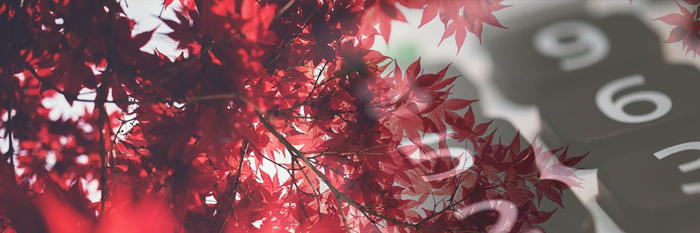 2019 Federal Budget Canada