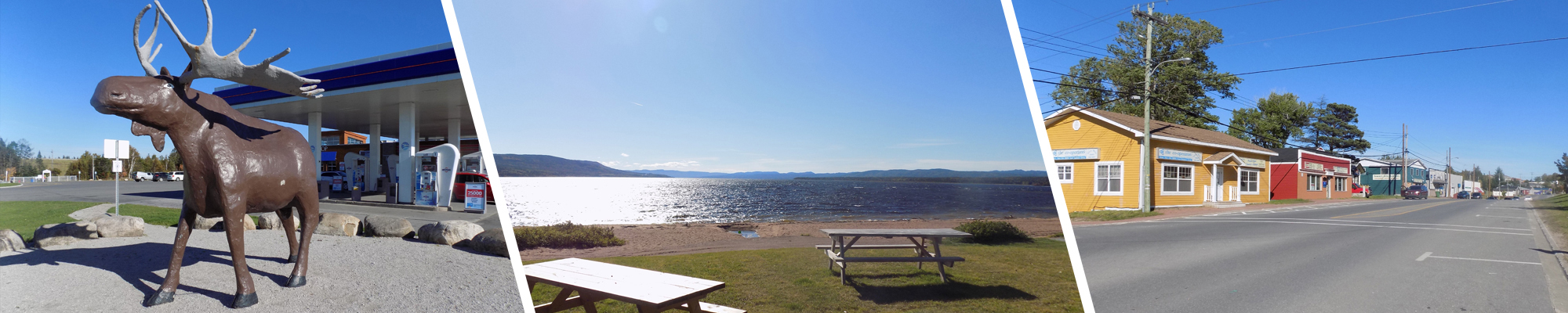 Deer Lake Real Estate Homes For Sale